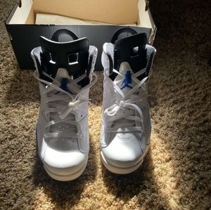 jordan 6 sport blue